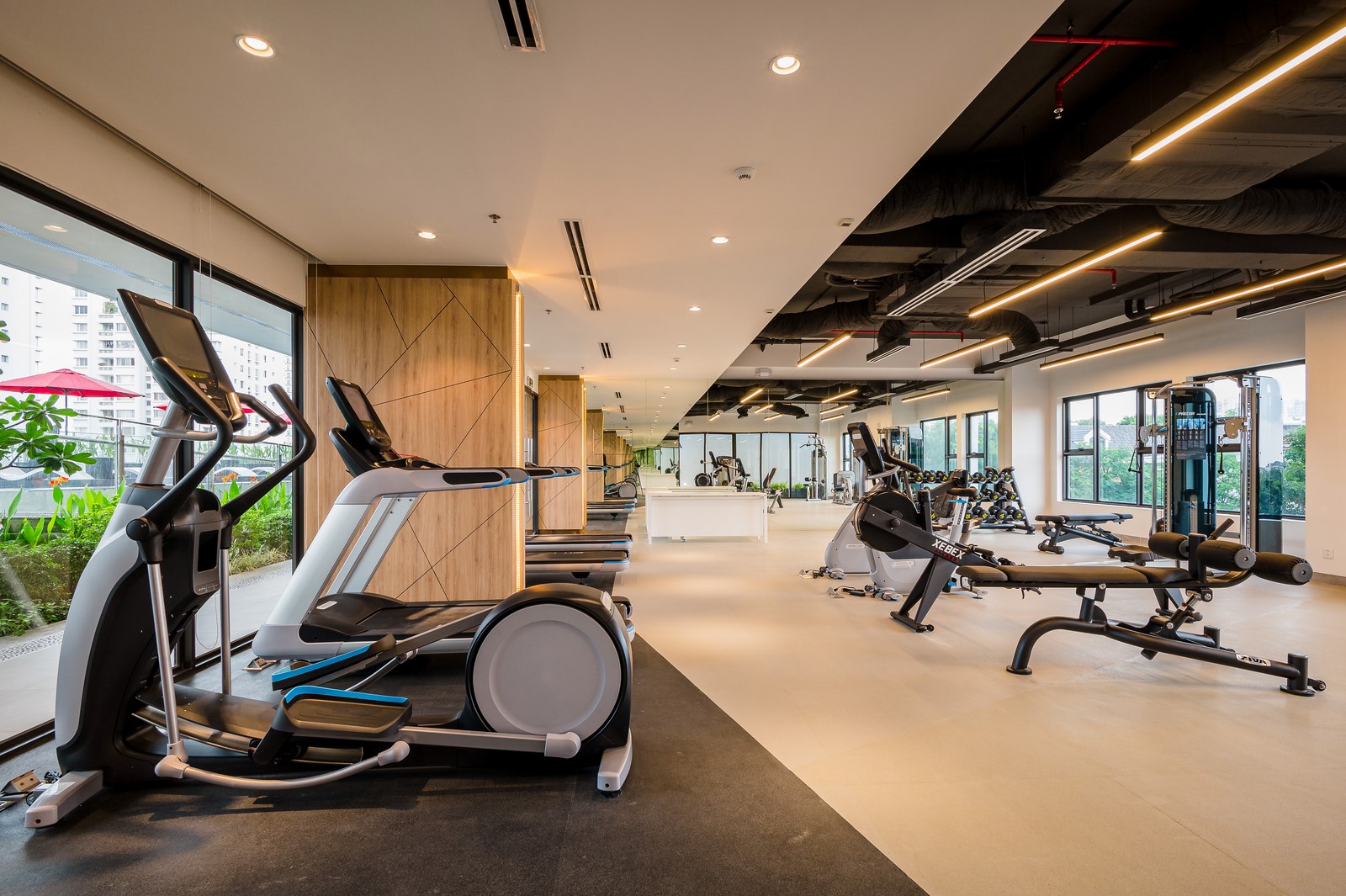 Phong tap Gym Fenica